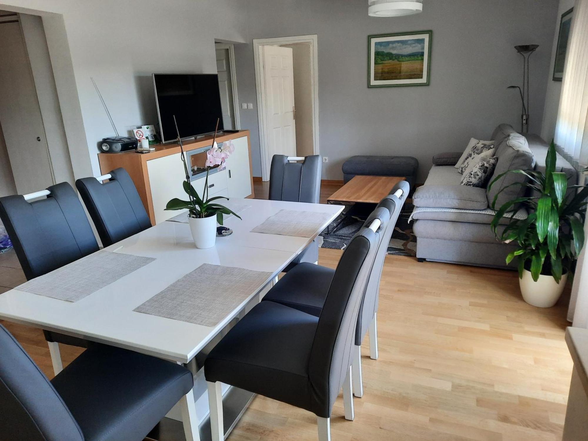 Apartman Dada Krapinske Toplice Kültér fotó