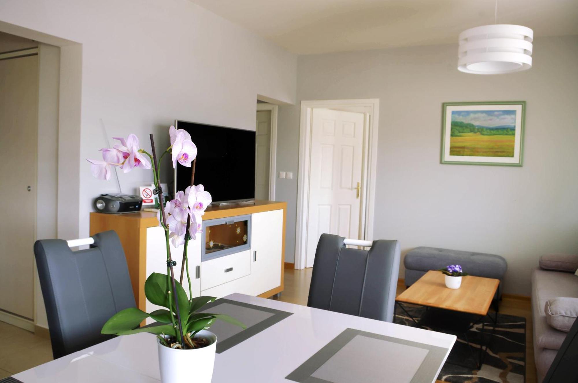Apartman Dada Krapinske Toplice Kültér fotó